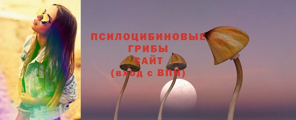 дмт Алзамай