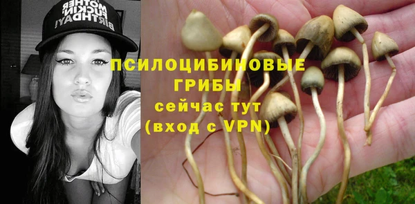 ECSTASY Алексин