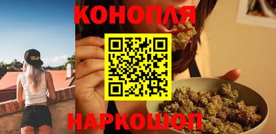прущие крисы Шелехов