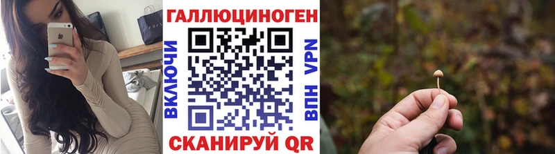 Псилоцибиновые грибы Psilocybine cubensis  Полысаево 